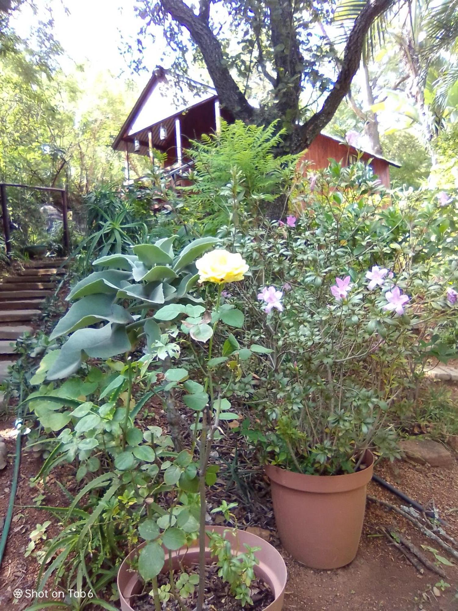 Villa Pumba'S Lookout Barberton Exterior foto